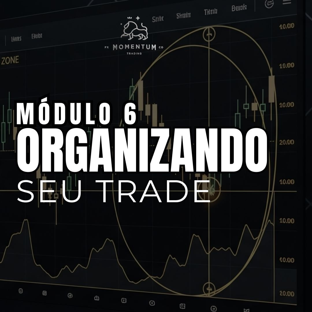 Módulo 6 — Operação Profissional
